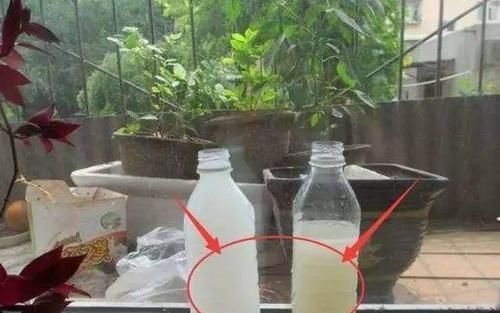 营养液|什么营养液也不如这种神仙水,半月浇一勺,养什么花都长势旺