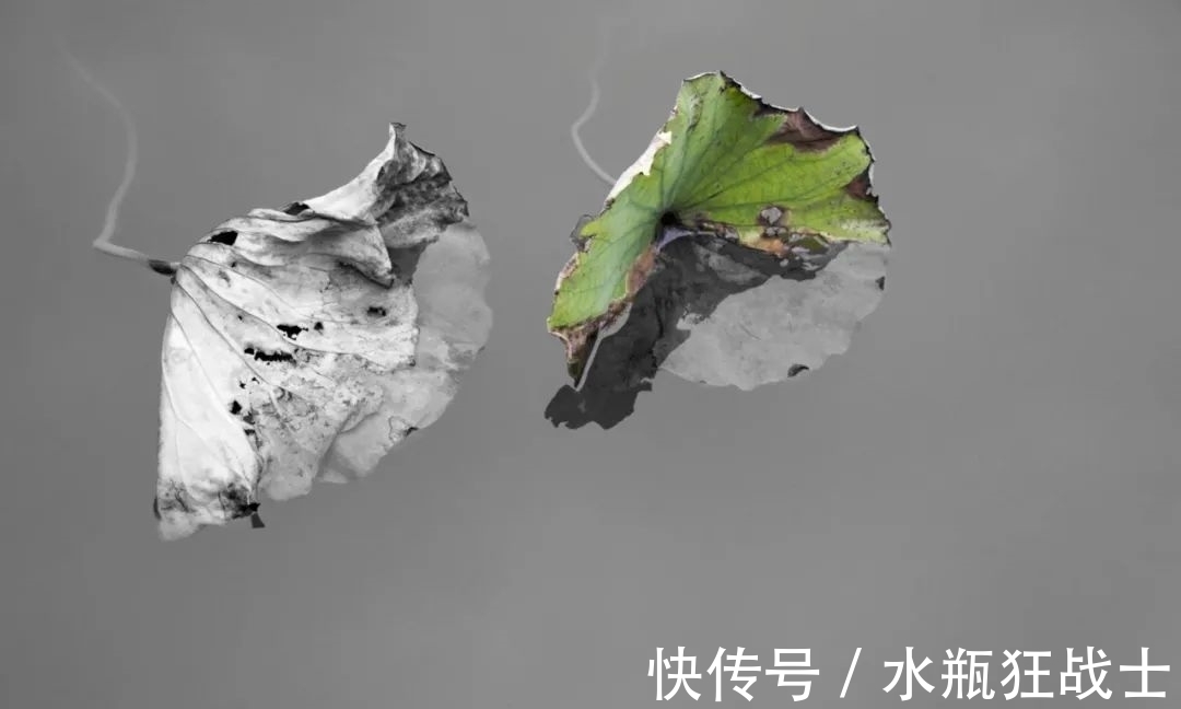 刘禹锡|古诗词里的初秋