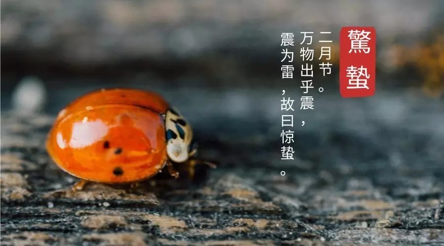 28首惊蛰诗词,惊醒最美春天