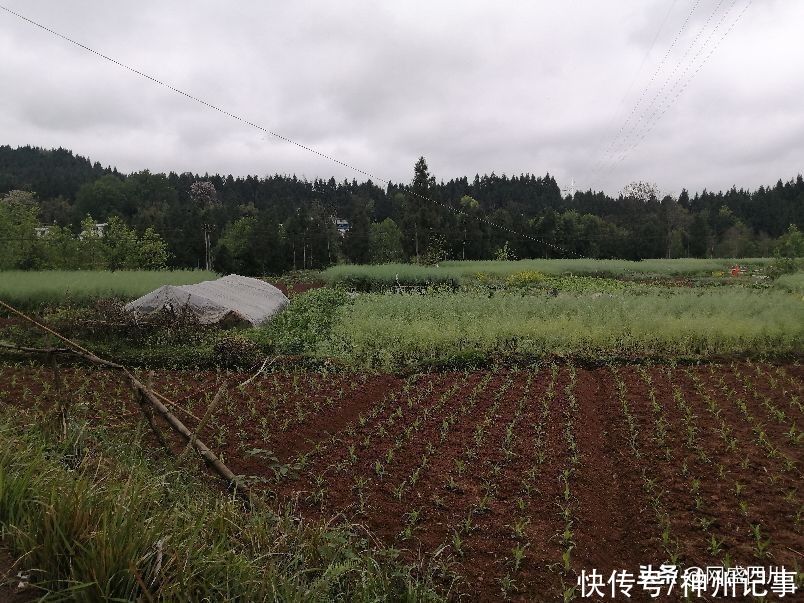 清明，在祭祖的路上看风景（二）