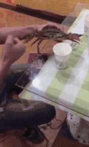 |搞笑GIF图：美女刚睡醒的样子vs你刚睡醒的样子！