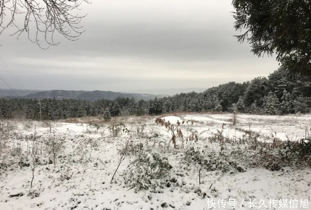 惊艳|惊艳！苍溪九龙山雪景美到cry！