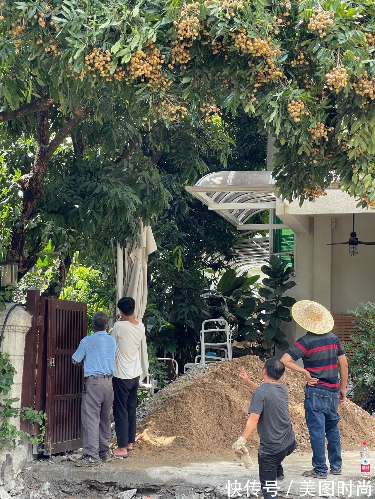 预算8万,改造170㎡别墅“沙漠植物懒人花园”,太好看了