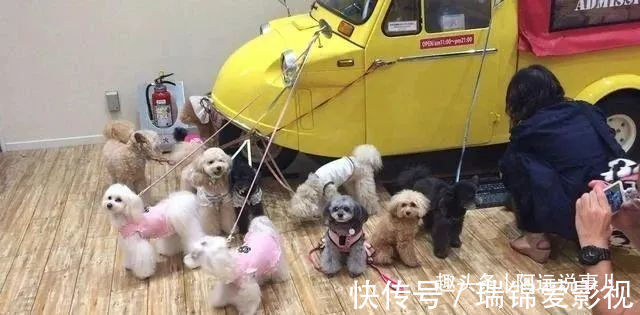 商家|这5类商品尽量去实体店买，否则坑的还是自己！