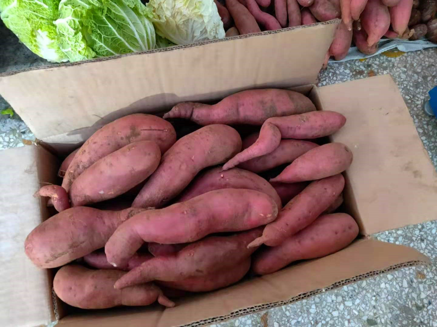 冬天买红薯时,专挑“这3点”,菜农一看是懂行的,不敢糊弄你