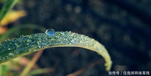 凤凰新年钟声辞旧岁传统民俗迎新春