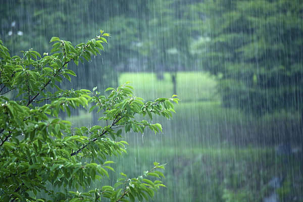 雷阵雨|今日夏至丨除了昼最长 关于夏至的这些你知道吗？