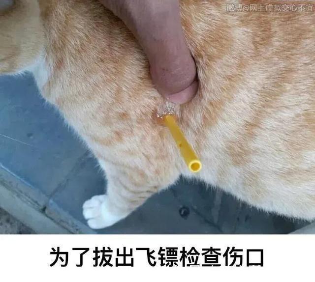 |今日笑话:妈妈要求很高啊