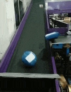 |搞笑GIF趣图：说实话，这钢琴真不错！有谁知道是什么牌子的？