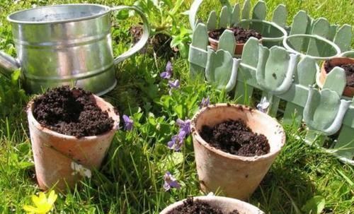 养花还在买花盆学会一招,再不用多花一分钱,一捡一大堆