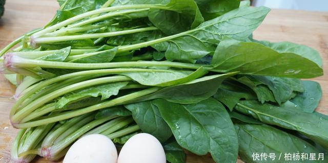 翠绿|做菠菜要不要焯水很多人都做错了,教你正确吃法,翠绿爽口营养