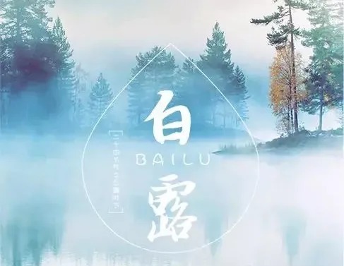 桃花星|辛丑年丁酉月——月运总概