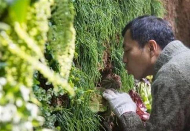 王昱珩|还记得“最强大脑”王昱珩吗被警方邀请协助破案,后来怎样了