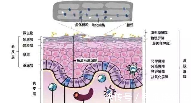 无印良品 值得推荐的8款平价护肤品,适合学生党的护肤品!
