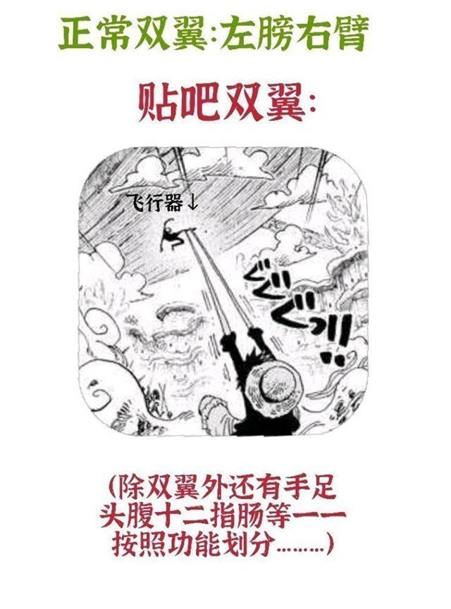海贼王|海贼王1020话：尾田重申山治的定位为“双翼”，这次粉丝不买账了