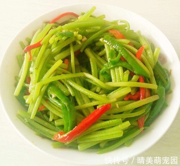 皇后|它可是蔬菜皇后,蛋白质比牛肉还高,才1元一斤,可别把它吃涨价