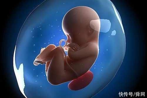 妊娠贫血|想怀孕后给胎宝宝足够营养，就要抓住胎儿这四个发育关键期!