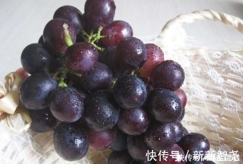 此物|入秋后，多吃葡萄好处多，但不要和此物同吃，偏偏很多人犯错误