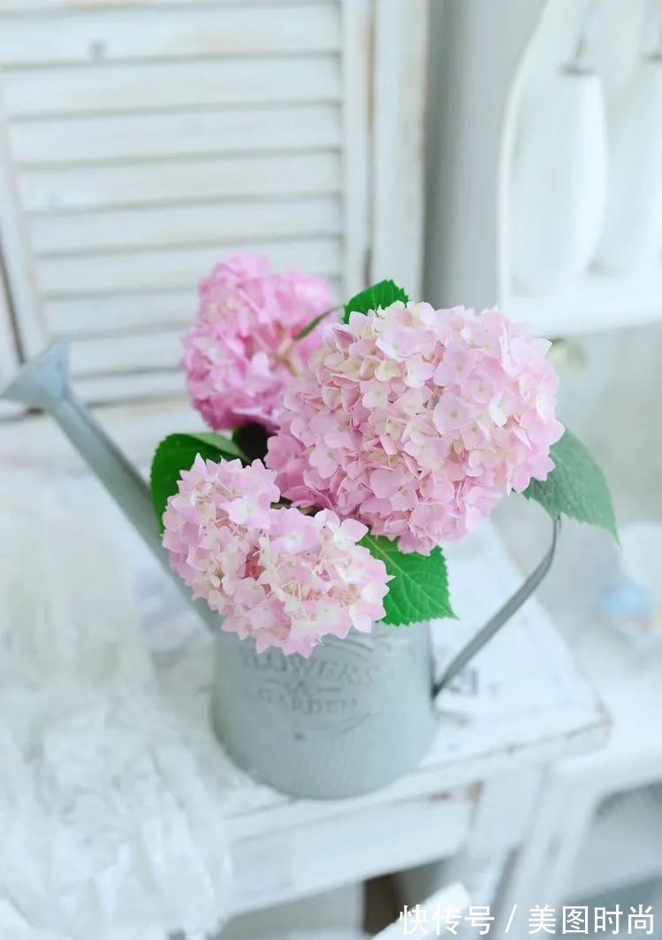 防腐木|为了这个45㎡小院子，坚持买了一楼，打造成花园后比别墅还好看