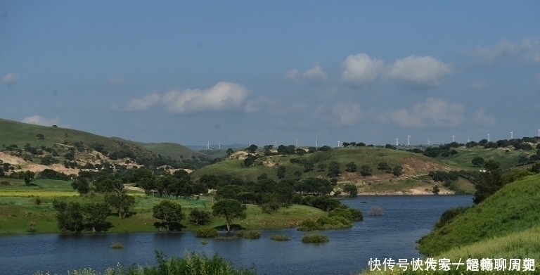 绿树|实拍国家一号风景大道：花香醉人，绿树成荫，好山好水还不花钱