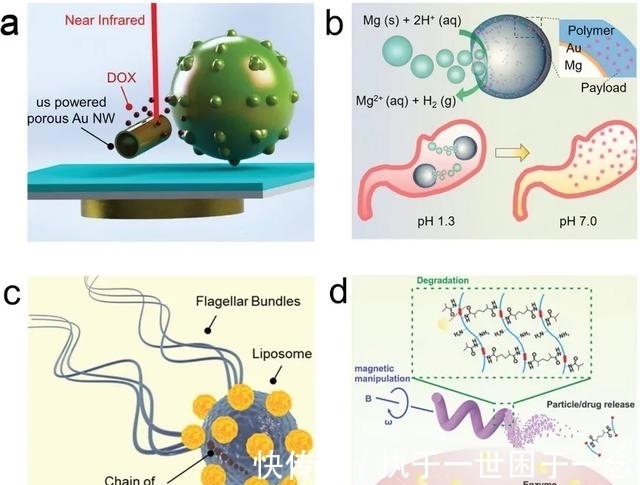 烷烃|Nature子刊:油滴“游泳”,姿势少见