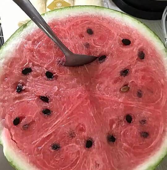 西瓜|表妹太懒，发明西瓜新吃法，本来想说她的，吃到最后都夸她聪明