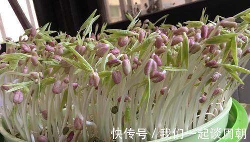 增强体质|女性到了中年,适合吃以下食物,补充营养,降压减脂,增强体质