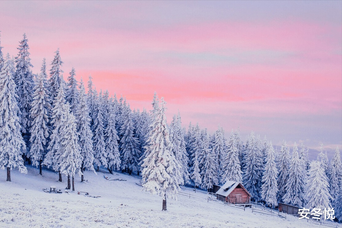 满山川@采撷日光的暖意,走进冬之素简