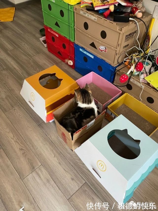 大侠|大侠后宫:“直播间卖货方式能有多离谱??”哈哈哈哈哈这不买都对不起主播!