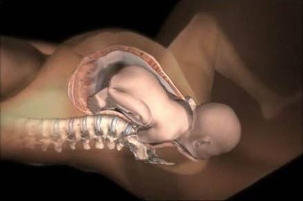 女生宿舍|某高校大三女生宿舍“产子”，舍友淡定围观已不是第一胎