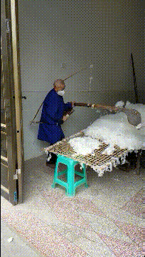 |搞笑GIF段子：我第一眼以为这是周迅呢。