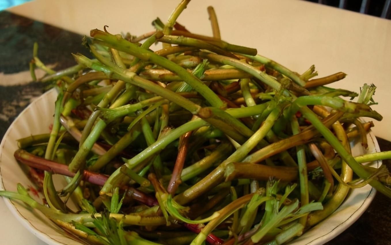 食物|冬季了，不妨多吃以下食物，促进食欲、美容养颜、健脑补脑