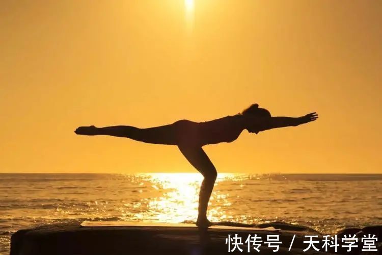 瑜伽|练习瑜伽,这些生理学原理你需要知道……