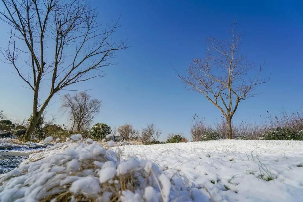 尚田小镇霸屏啦！冬日雪景图鉴已上线，美得不讲道理！