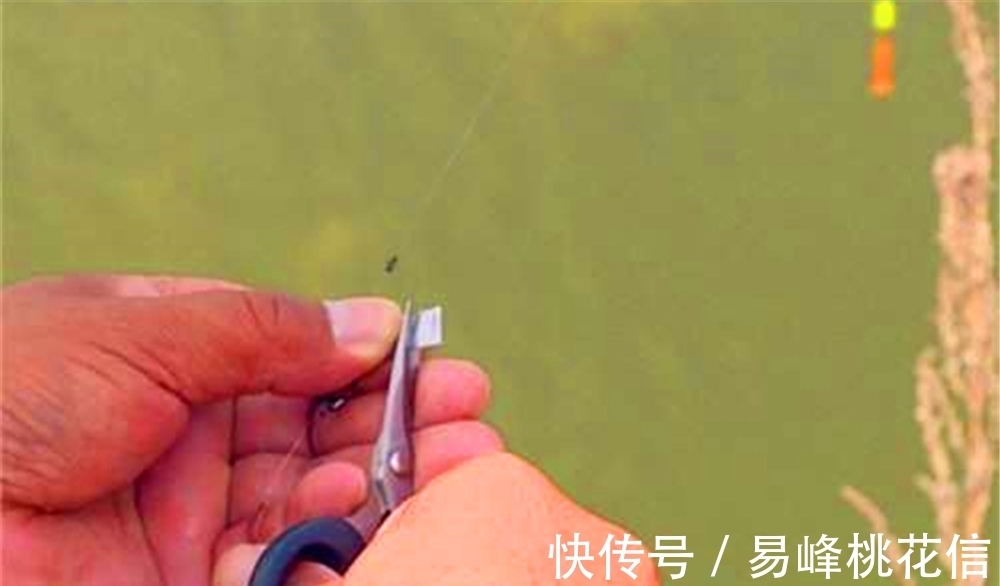 调漂找底后钓目忽高忽低,未必是水底不平,原因更可能是这些!