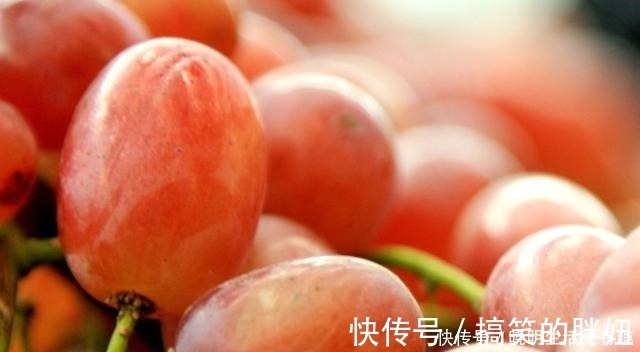 干辣椒|家有微波炉的要注意,这5种食物不可以微波炉加热,看完告诉家人