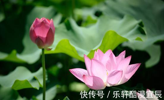 未来15天，吉星关照，4属相事业进步，升职加薪，生活富足