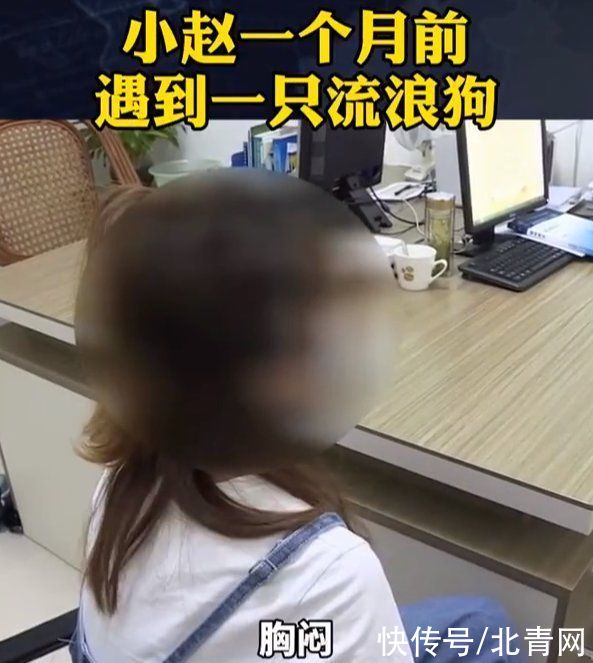 恐惧症|20岁女孩见狗就心慌胸闷，听到“狗”字都紧张，医生诊断……