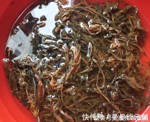 好吃|梅菜扣肉好吃有诀窍,方法教给你,肥而不腻,比饭店做得还好吃!