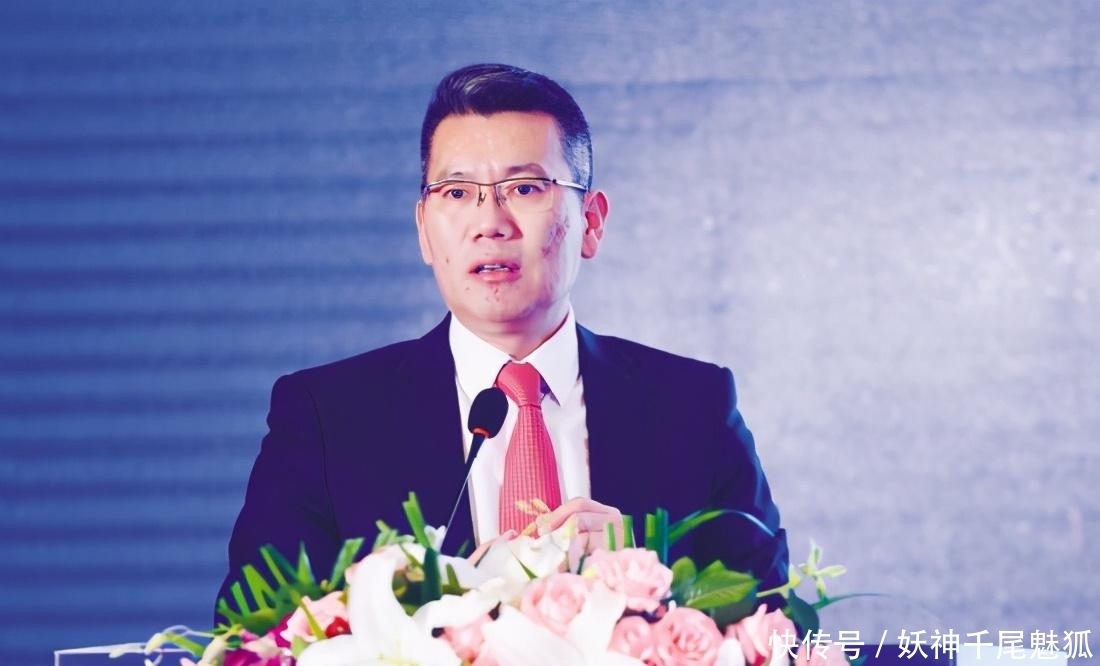 国产|国产巨头黯然离场,曾力压德国日本,如今却负债789亿