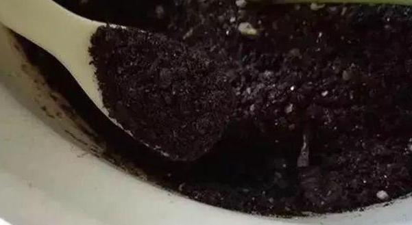 养花不用买营养液，准备好香蕉皮，盆栽植物叶子不泛黄