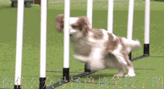 |搞笑GIF段子：美女的舌头很灵活嘛