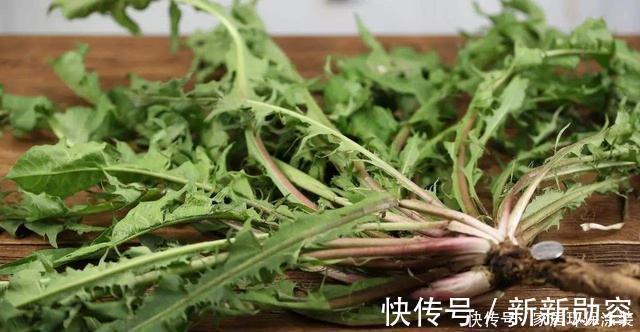家里有条件养这3种花，开花漂亮价值高，一克就能几百元