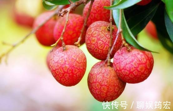 过华清宫绝句|“一骑红尘妃子笑”中的“骑”,读qí更好些吗?看完你就知道了