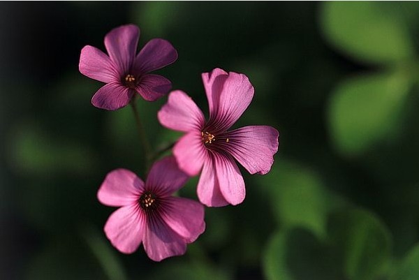 福气|每个晚年有福气的人，都在年轻时做了这四件事，才收获了福报！