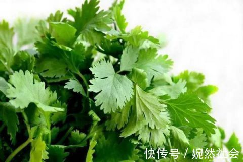 挥发油|这些厨房“边角料”是天然感冒药，不花一分钱轻松治感冒，再也不用去药店了