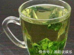 头晕|桑叶泡水喝的7大功效,教你4种搭配方式,一周身体变超棒!