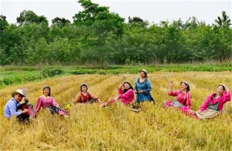 《田野里的歌聲》嘉賓出爐，這綜藝是說什么的，值得看嗎