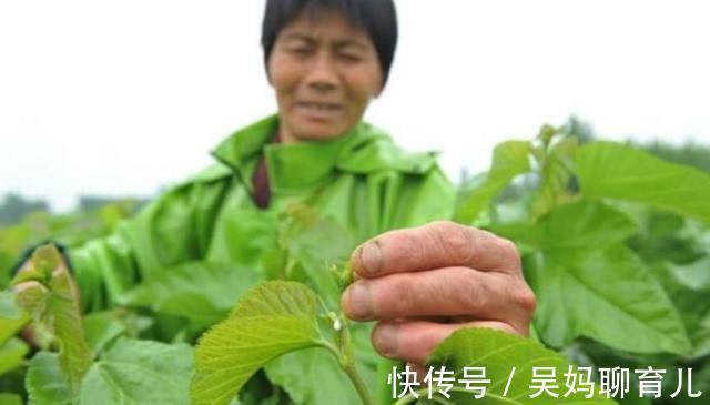 心率|有长寿体质的人,都有6个能力,医生:占的越多身体越健康!