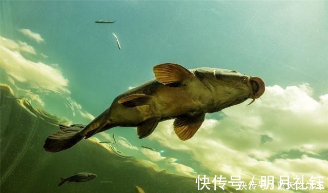 你的钓鱼瘾是什么等级在你不钓鱼的时候，就能看出来